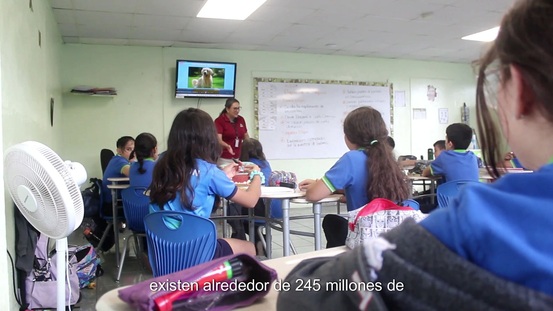 ELIGE CRESTON | PORTUGUES